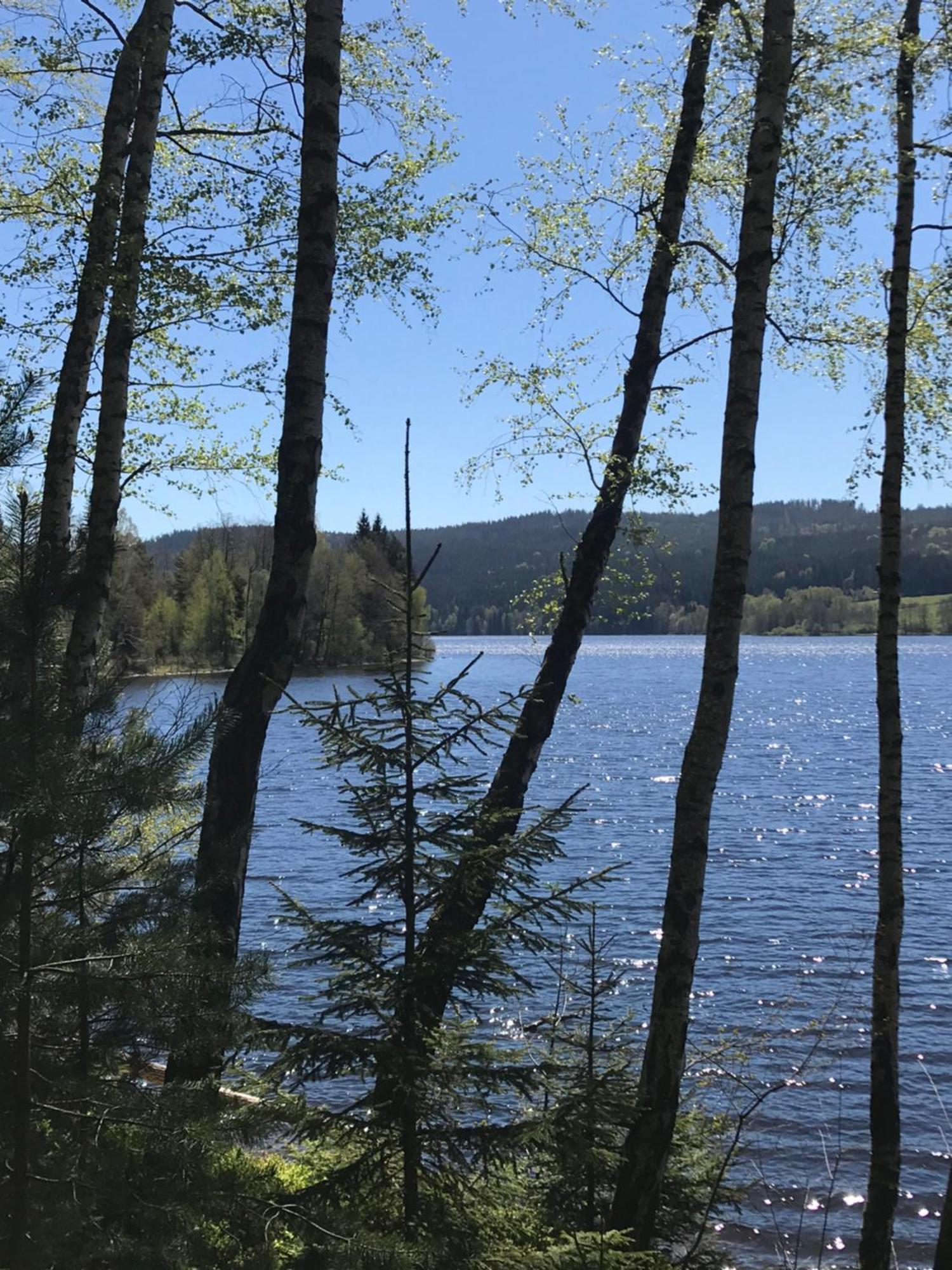 Rodinne Ubytovani Krauskopfovi Lipno nad Vltavou Exterior photo